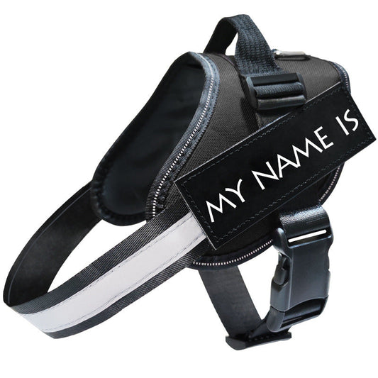 Reflective Dog Leash & Harness Set | Adjustable, No-Pull Dog Walking Gear