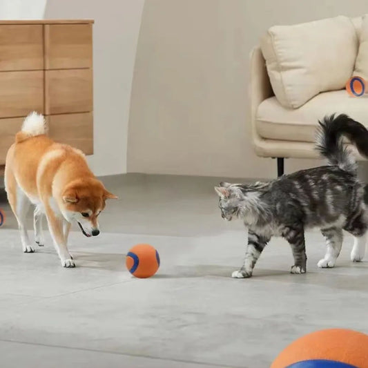 Durable Dog Fetch Ball Toy ¨C Tough Chew & Training Ball for All Dog Sizes