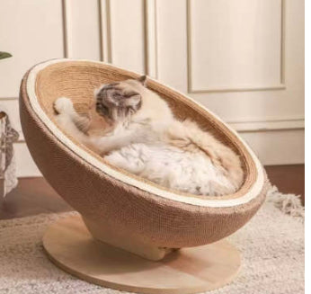 Cat Scratching Post - Eggshell Cup Bed with Scratch Pad Ball, Breathable Board