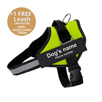 Ultimate Personalized No Pull Dog Harness