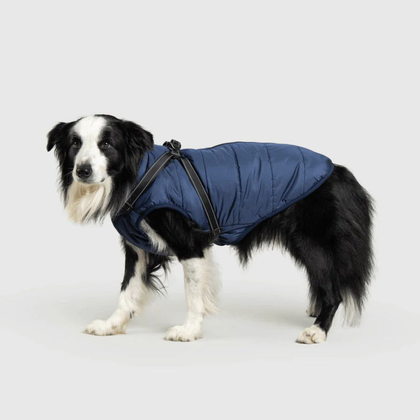 Waterproof Winter Jacket with Built-in Harness - Buy 2 Pcs Enjoy Free Shipping!