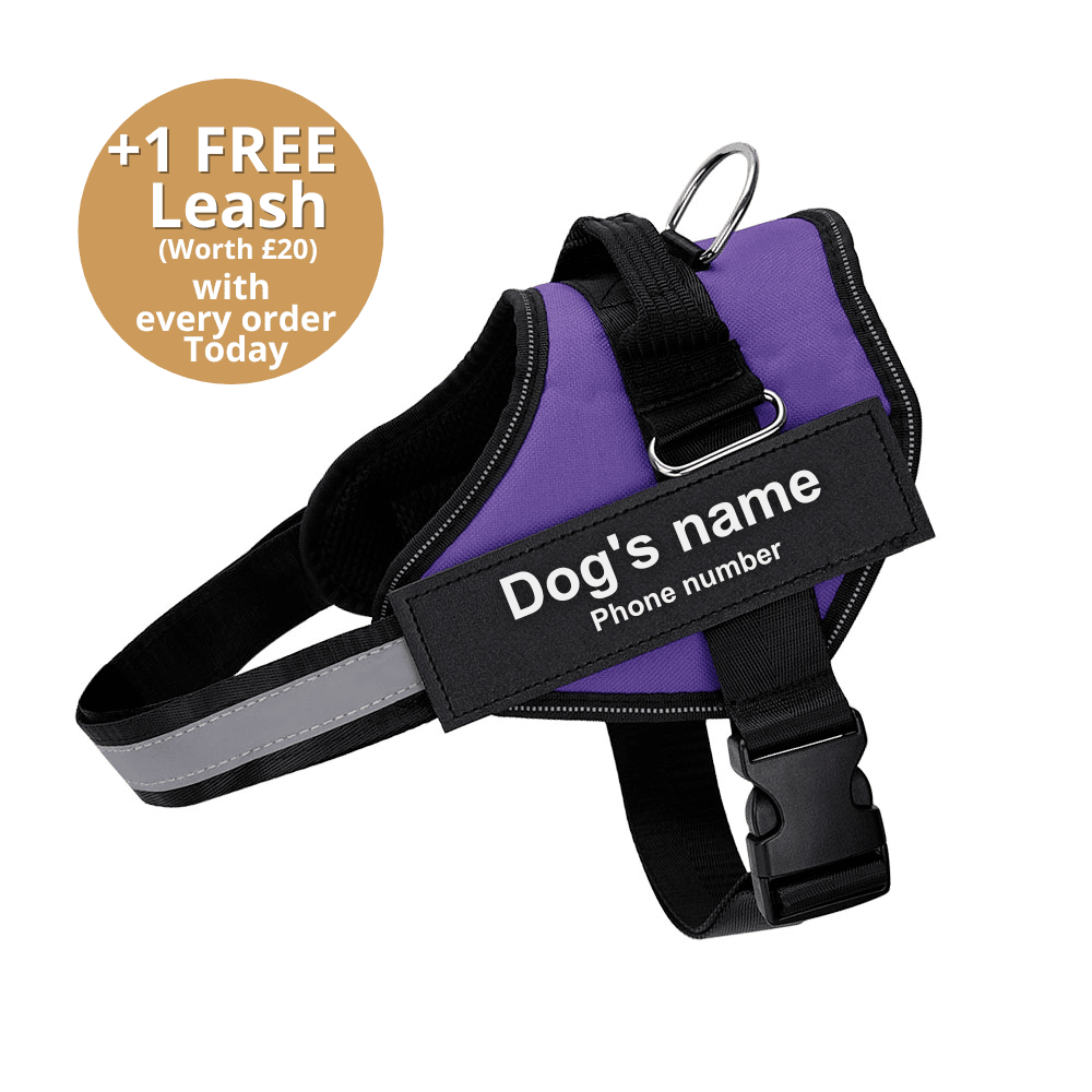 Ultimate Personalized No Pull Dog Harness