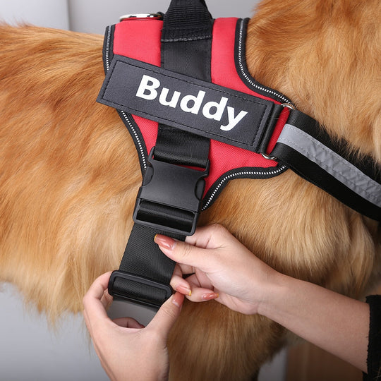 Ultimate Personalized No Pull Dog Harness