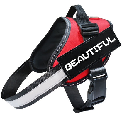 Reflective Dog Leash & Harness Set | Adjustable, No-Pull Dog Walking Gear