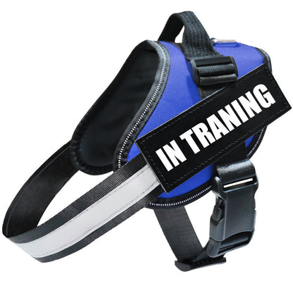 Reflective Dog Leash & Harness Set | Adjustable, No-Pull Dog Walking Gear