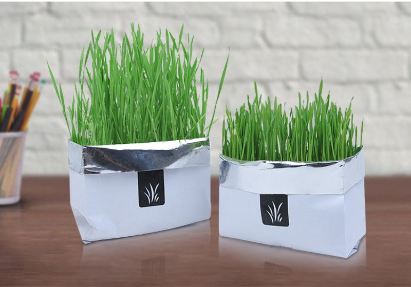 Soilless Organic Cat Grass ¨C Indoor Grass for Cats, Hairball & Digestion Support
