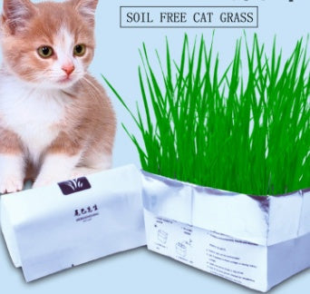 Soilless Organic Cat Grass ¨C Indoor Grass for Cats, Hairball & Digestion Support