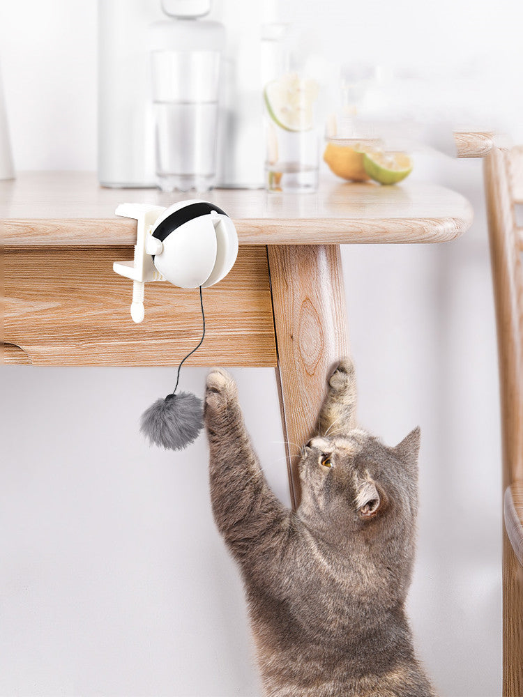 Electric Lifting Motion Cat Toy - Automatic Interactive Teaser