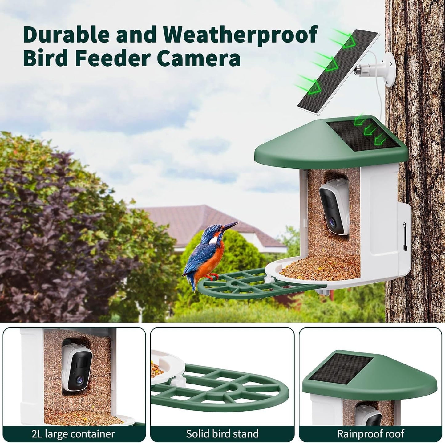 Smart Bird Feeder with Wireless Camera - AI Bird Watching & Recognition