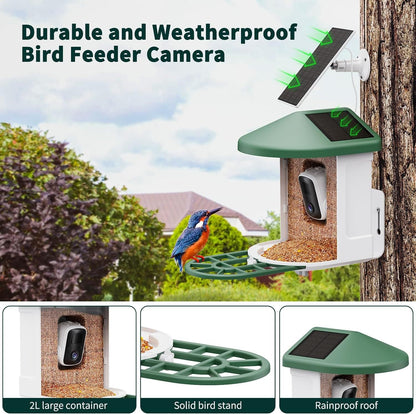 Smart Bird Feeder with Wireless Camera - AI Bird Watching & Recognition