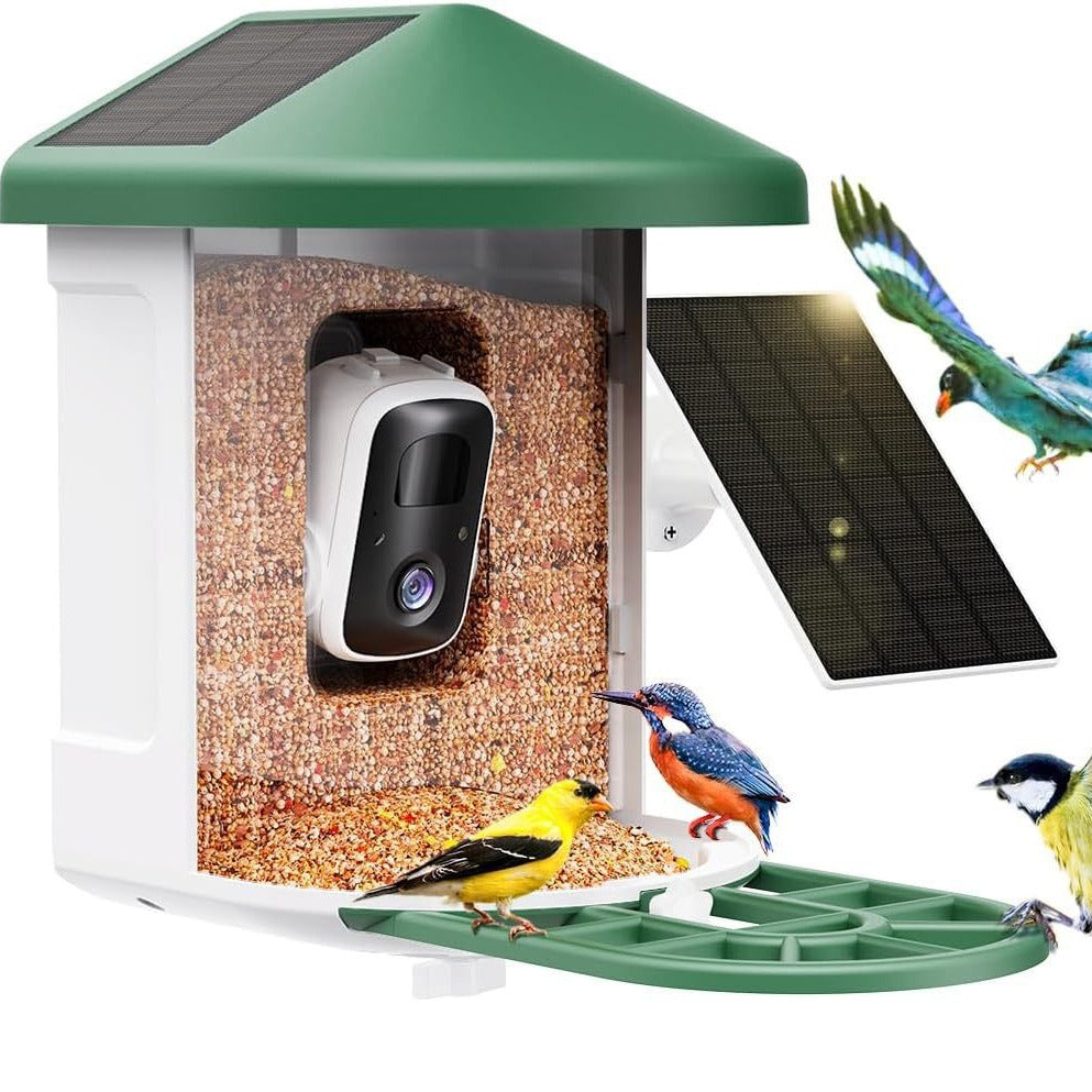 Smart Bird Feeder with Wireless Camera - AI Bird Watching & Recognition