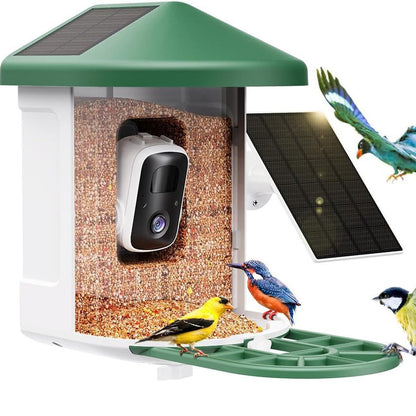 Smart Bird Feeder with Wireless Camera - AI Bird Watching & Recognition