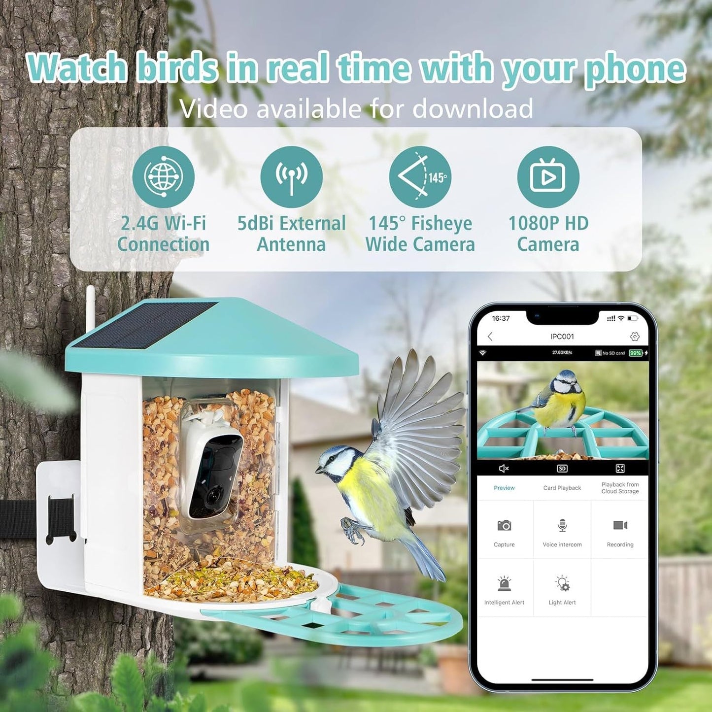 Smart Bird Feeder with Wireless Camera - AI Bird Watching & Recognition