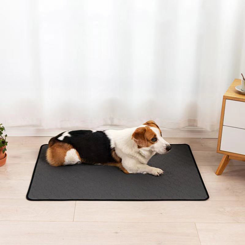 Reusable Waterproof Puppy Training Mat - Absorbent Anti-Slip Pee Pad