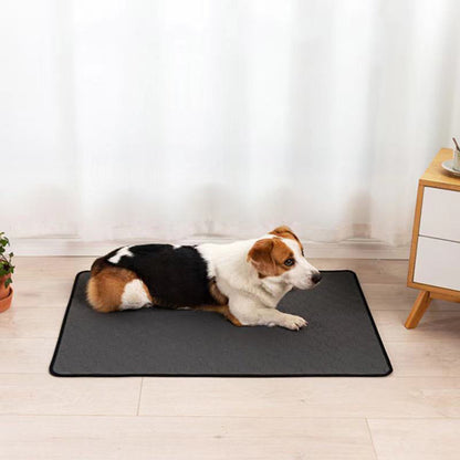 Reusable Waterproof Puppy Training Mat - Absorbent Anti-Slip Pee Pad