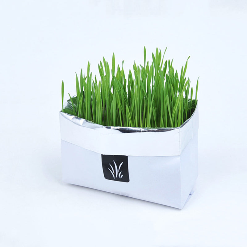 Soilless Organic Cat Grass ¨C Indoor Grass for Cats, Hairball & Digestion Support