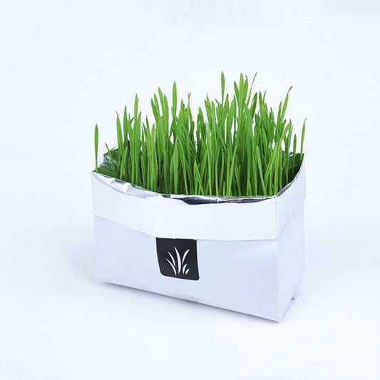 Soilless Organic Cat Grass ¨C Indoor Grass for Cats, Hairball & Digestion Support