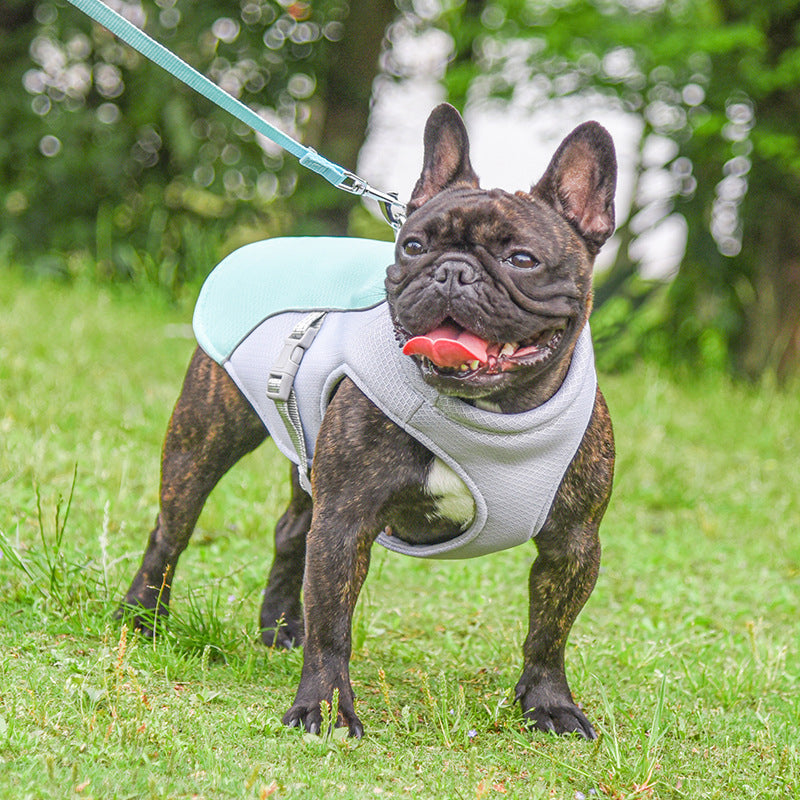 Summer Dog Cooling Harness Vest ¨C Breathable No-Pull Lightweight Mesh Harness for Hot Weather