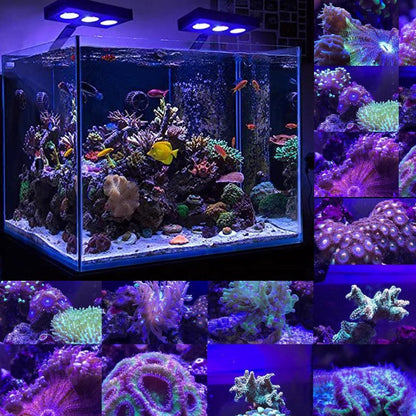 Full Spectrum Coral LED Aquarium Light - Marine Reef Tank Lighting