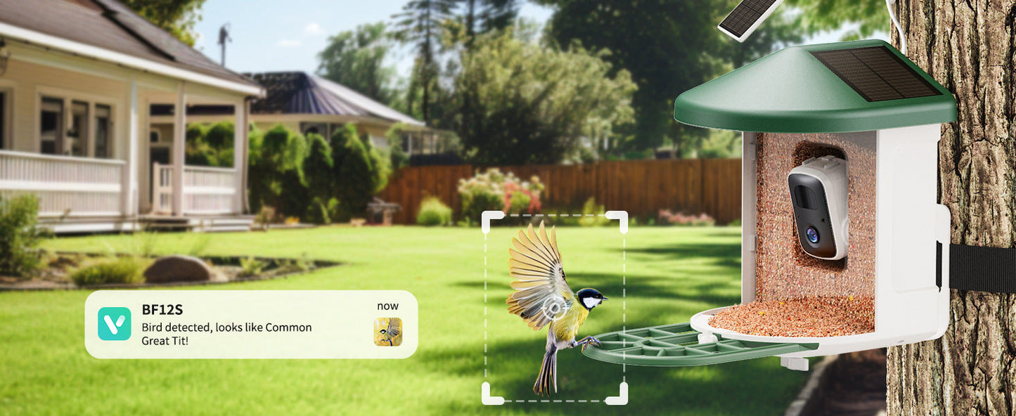 Smart Bird Feeder with Wireless Camera - AI Bird Watching & Recognition