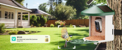 Smart Bird Feeder with Wireless Camera - AI Bird Watching & Recognition
