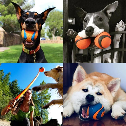 Durable Dog Fetch Ball Toy ¨C Tough Chew & Training Ball for All Dog Sizes