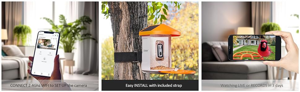 Smart Bird Feeder with Wireless Camera - AI Bird Watching & Recognition