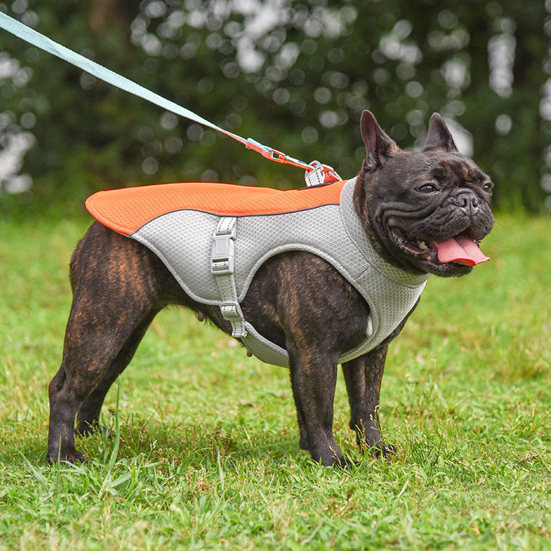 Summer Dog Cooling Harness Vest ¨C Breathable No-Pull Lightweight Mesh Harness for Hot Weather